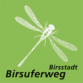 Birsstadt Birsuferweg